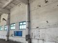 Промбаза · 40 соток, Серпер 7 за 80 млн ₸ в Круглоозерном — фото 13