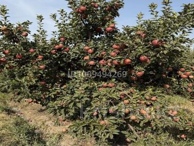 Яблоневый сад, производство сока · 42.6 м² за 490 млн 〒 в Каракемер