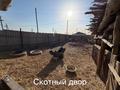 Жер телімі · 24 сотық, Қасым Бөдеев 85 — Инфекционная больница, 10 там, бағасы: 25 млн ₸ в Теренозеке — фото 17