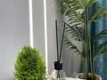 2-бөлмелі пәтер · 84 м² · 1/4 қабат, Рахат ш/а., Мкр.Рахат, ул.Культобе уч.№1, уч№24, бағасы: 25 000 ₸ в Алматы, Наурызбайский р-н — фото 27