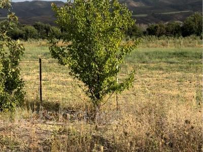 Отдельный дом · 5 комнат · 200 м² · 66 сот., Есенбай 1 за 65 млн 〒 в Коктобе