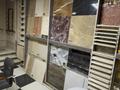 Еркін · 270 м², бағасы: 60 млн ₸ в Астане, р-н Байконур — фото 7