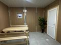 Жеке үй · 10 бөлме · 300 м² · 11 жүзд., Текелийская — Райымбека Тургут Озала, бағасы: 200 млн ₸ в Алматы, Алатауский р-н — фото 48