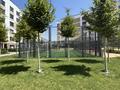3-комнатная квартира · 85.31 м² · 5/6 этаж, мкр Кайрат 716/16 за 49.5 млн ₸ в Алматы, Турксибский р-н — фото 4