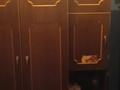 Жеке үй · 4 бөлме · 90 м² · 2 жүзд., Пришахтинск ш/а., Мясникова — Джанго льдина, бағасы: 15 млн ₸ в Караганде, Алихана Бокейханова р-н — фото 6