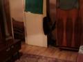 2-бөлмелі пәтер · 54 м² · 4/5 қабат, мкр Михайловка , Крылова 14 — Район бани и кардиологии, бағасы: 18 млн ₸ в Караганде, Казыбек би р-н — фото 4