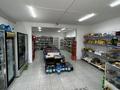 Магазины и бутики · 180 м² за 29.8 млн ₸ в Атырау, Оркен - 2 — фото 9