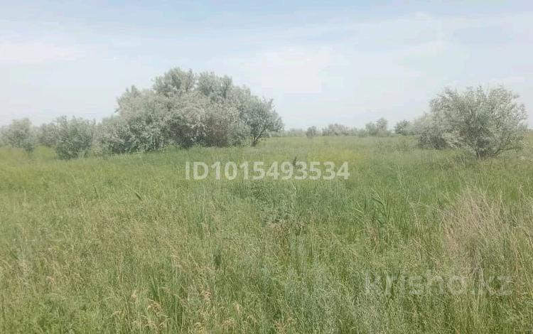 Жер телімі · 5 га, Ақбастау, бағасы: 2.5 млн ₸ в Акбастау — фото 2