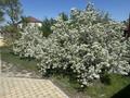 Отдельный дом · 5 комнат · 196 м² · 12 сот., мкр Мунайшы 107 — 1-ой ул. за 35 млн ₸ в Атырау — фото 2