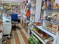 Магазины и бутики • 74 м² за 15 млн 〒 в Караганде, Алихана Бокейханова р-н — фото 6