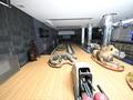 Жеке үй · 6 бөлме · 860 м² · 40 жүзд., Көктөбе ш/а., Кызжибек 173, бағасы: 950 млн ₸ в Алматы, Медеуский р-н — фото 28