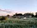 Участок · 10 соток, Западно-Казахстанская обл. за 2.9 млн 〒 — фото 4