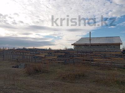 Участок · 25 соток, Майколь за 5 млн ₸