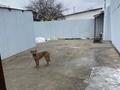 Часть дома · 2 комнаты · 52 м² · 140 сот., Спортивный проезд 12а — Между садиком ертостек и школой низамхана за 20 млн ₸ в Шымкенте, Аль-Фарабийский р-н — фото 4
