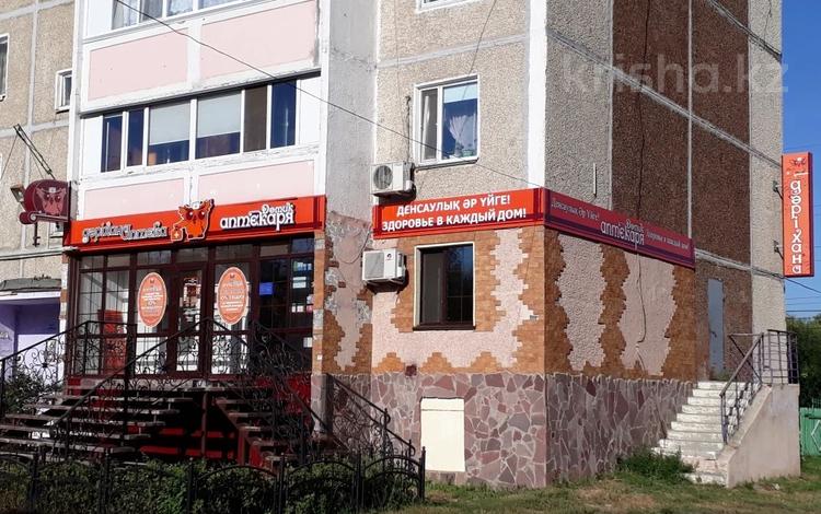 Свободное назначение, офисы, магазины и бутики, общепит, салоны красоты, бани, гостиницы и зоны отдыха, медцентры и аптеки, образование, развлечения · 53.1 м² за ~ 51.8 млн ₸ в Костанае — фото 8