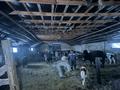 Ауыл шаруашылығы · 15000 м², бағасы: 50 млн ₸ в  — фото 4