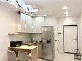 1-комнатная квартира · 30 м² · 1/12 этаж, ул. Шарипа Омарова 9 за 210 000 ₸ в Алматы, Алатауский р-н — фото 6