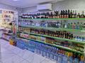 Магазины и бутики • 150 м² за 66 млн 〒 в Актау, 6-й мкр — фото 21