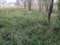 Жер телімі · 5 сотық, Кемертоган, бағасы: 13.5 млн ₸ — фото 2