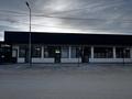 Свободное назначение · 115 м² за 200 млн ₸ в Туздыбастау (Калинино)