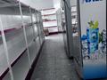 Свободное назначение · 115 м² за 200 млн ₸ в Туздыбастау (Калинино) — фото 10
