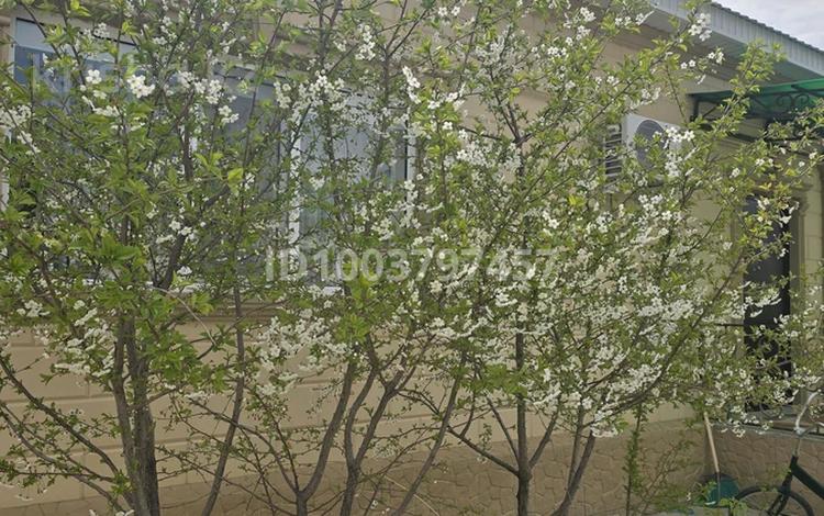 Жеке үй · 4 бөлме · 280 м² · 10 жүзд., С Торайгырова 417 — Жадырасын, бағасы: 40 млн ₸ в Кульсары — фото 6