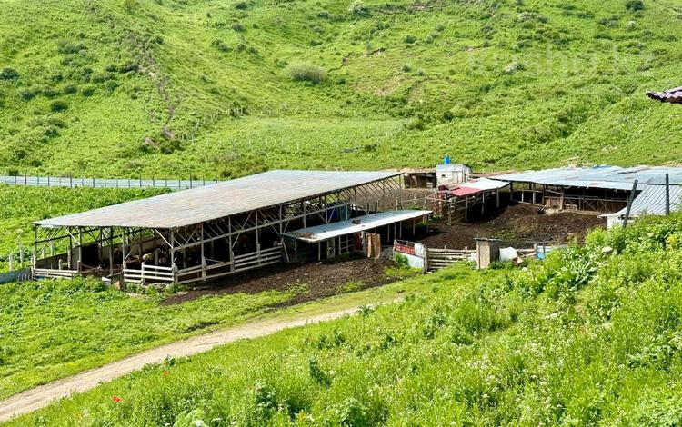 Жер телімі · 40 га, Қаскелең, бағасы: 250 млн ₸ в Каскелене — фото 2