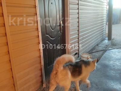 Жеке үй · 3 бөлме · 73 м² · 8 жүзд., Сортировка, Молдагуловой, бағасы: 8.5 млн ₸ в Караганде, Алихана Бокейханова р-н