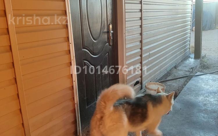 Жеке үй · 3 бөлме · 73 м² · 8 жүзд., Сортировка, Молдагуловой, бағасы: 8.5 млн ₸ в Караганде, Алихана Бокейханова р-н — фото 2