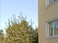 Отдельный дом • 6 комнат • 238 м² • 10 сот., Уалиханова 2 за 85 млн 〒 в Алмалыке — фото 4