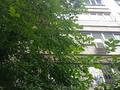3-бөлмелі пәтер · 85 м² · 4/5 қабат, Жарокова 167 — Ведомственный дом качественной постройки, бағасы: 70 млн ₸ в Алматы, Бостандыкский р-н — фото 3