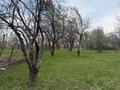 Участок · 53 сотки, Рыскулова ауылы — Алатау аудандық округ за 55 млн ₸ в Талгаре — фото 10