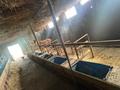 Действующий бизнес ( Фазенда). · 80 м² за 80 млн ₸ в Орнек — фото 7