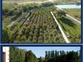 Свободное назначение · 6000 м² за 972 млн ₸ в Жаркенте — фото 7