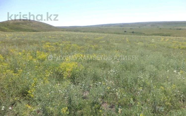 Жер телімі · 50 га, Үржар, бағасы: ~ 7.8 млн ₸ в Урджаре — фото 2