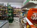 Свободное назначение, магазины и бутики · 250 м² за 60 млн ₸ в М. Туймебаеве — фото 10