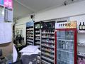 Свободное назначение, магазины и бутики · 250 м² за 60 млн ₸ в М. Туймебаеве — фото 12