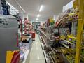Свободное назначение, магазины и бутики · 250 м² за 60 млн ₸ в М. Туймебаеве — фото 13