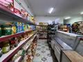 Свободное назначение, магазины и бутики · 250 м² за 60 млн ₸ в М. Туймебаеве — фото 14