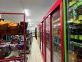 Свободное назначение, магазины и бутики · 250 м² за 60 млн ₸ в М. Туймебаеве — фото 3