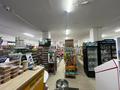 Свободное назначение, магазины и бутики · 250 м² за 60 млн ₸ в М. Туймебаеве — фото 8
