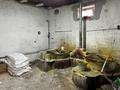 Участок · 8 соток, Кокжелек 386 за 40 млн ₸ в Шымкенте, Енбекшинский р-н — фото 17