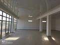 Часть дома · 7 комнат · 250 м² · 20 сот., Барысхан 54 за 80 млн ₸ в  — фото 10