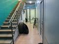 Еркін · 209 м², бағасы: 900 000 ₸ в Алматы, Бостандыкский р-н — фото 6