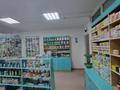 Действующую аптеку, 65 м² за 10 млн 〒 в Астане, Алматы р-н — фото 2