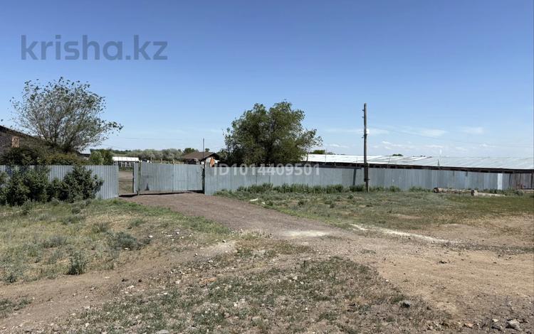 База под крестьянское хозяйство · 1000 м² за 30 млн ₸ в Карагандинской обл., Жартас — фото 2
