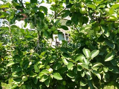 Дача · 1 комната · 20 м² · 8 сот., Синяя 10 за 5 млн 〒 в Турарских дач