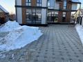 Отдельный дом · 5 комнат · 175 м² · 5 сот., Мұқанов көшесі 61А за 125 млн ₸ в Бельбулаке (Мичурино) — фото 9