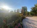 Отдельный дом · 5 комнат · 120 м² · 12 сот., Ш . Омарова 39 за 25 млн ₸ в Мерке — фото 4