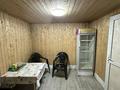 Отдельный дом · 8 комнат · 250 м² · 10 сот., Жанадил басар 38а за 300 000 ₸ в Береке — фото 30